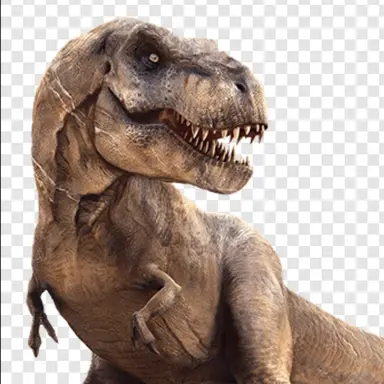 Profile image of 티렉스