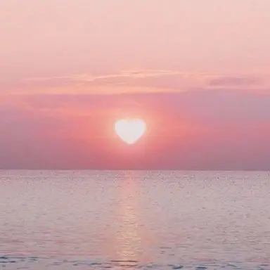 Profile image of 채밤비