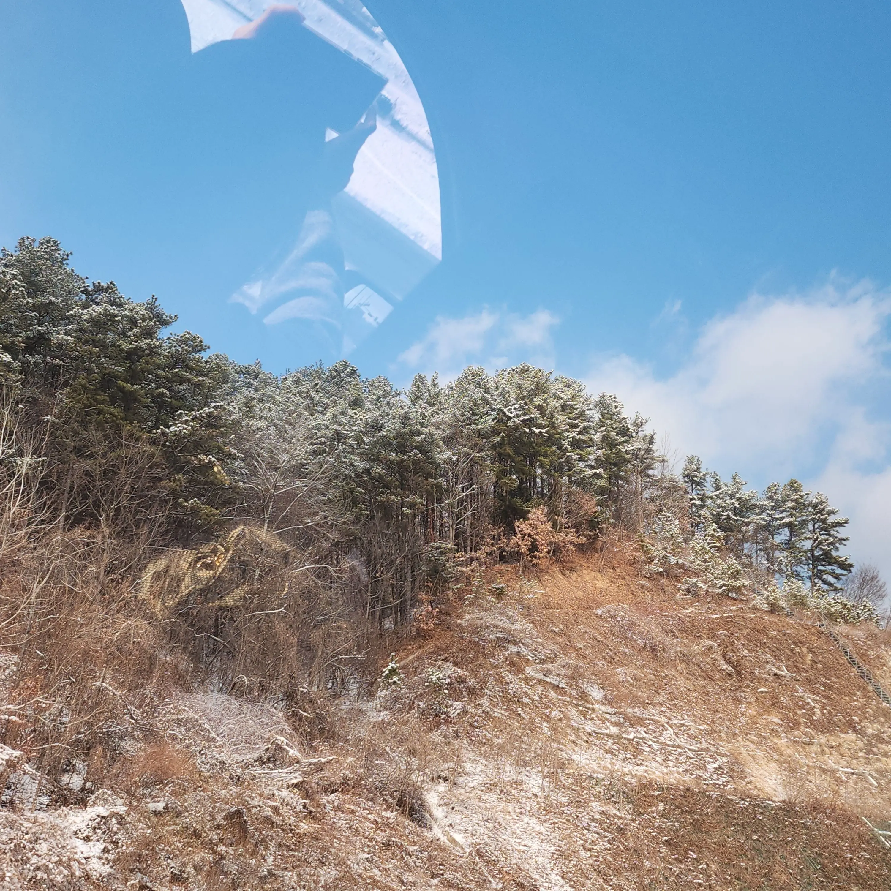 BitingOil2973의 박지훈 정략결혼