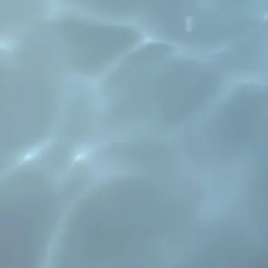 Profile image of 狛枝凪斗