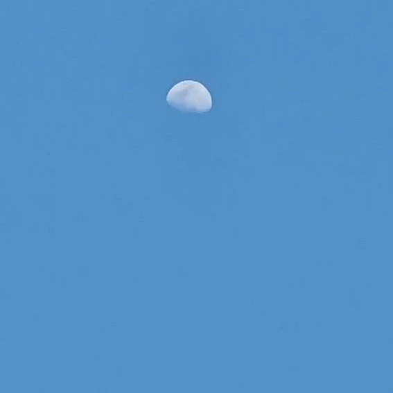 수안
