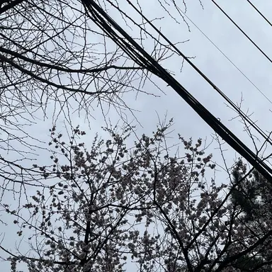 Profile image of 팀 대저택