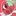 스프라우트🍓
