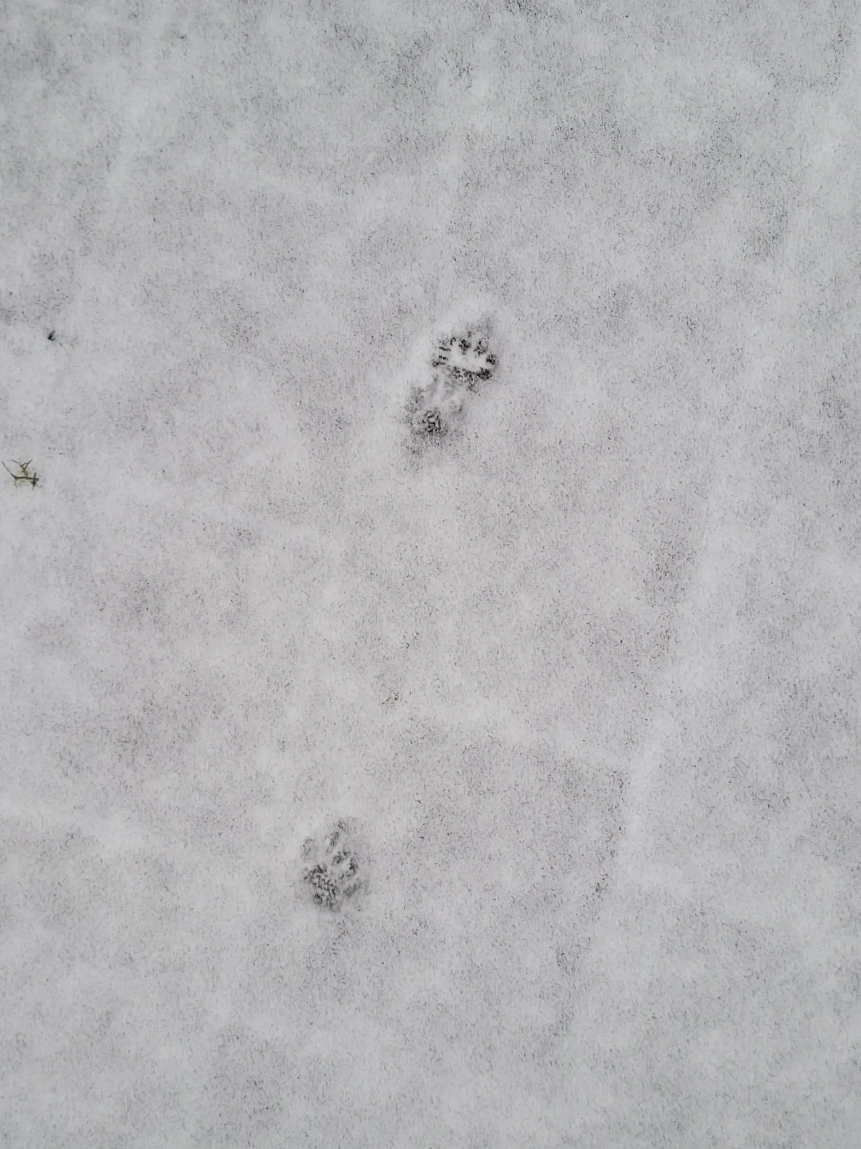 cjairy__aut8의 I'm not cute anymore