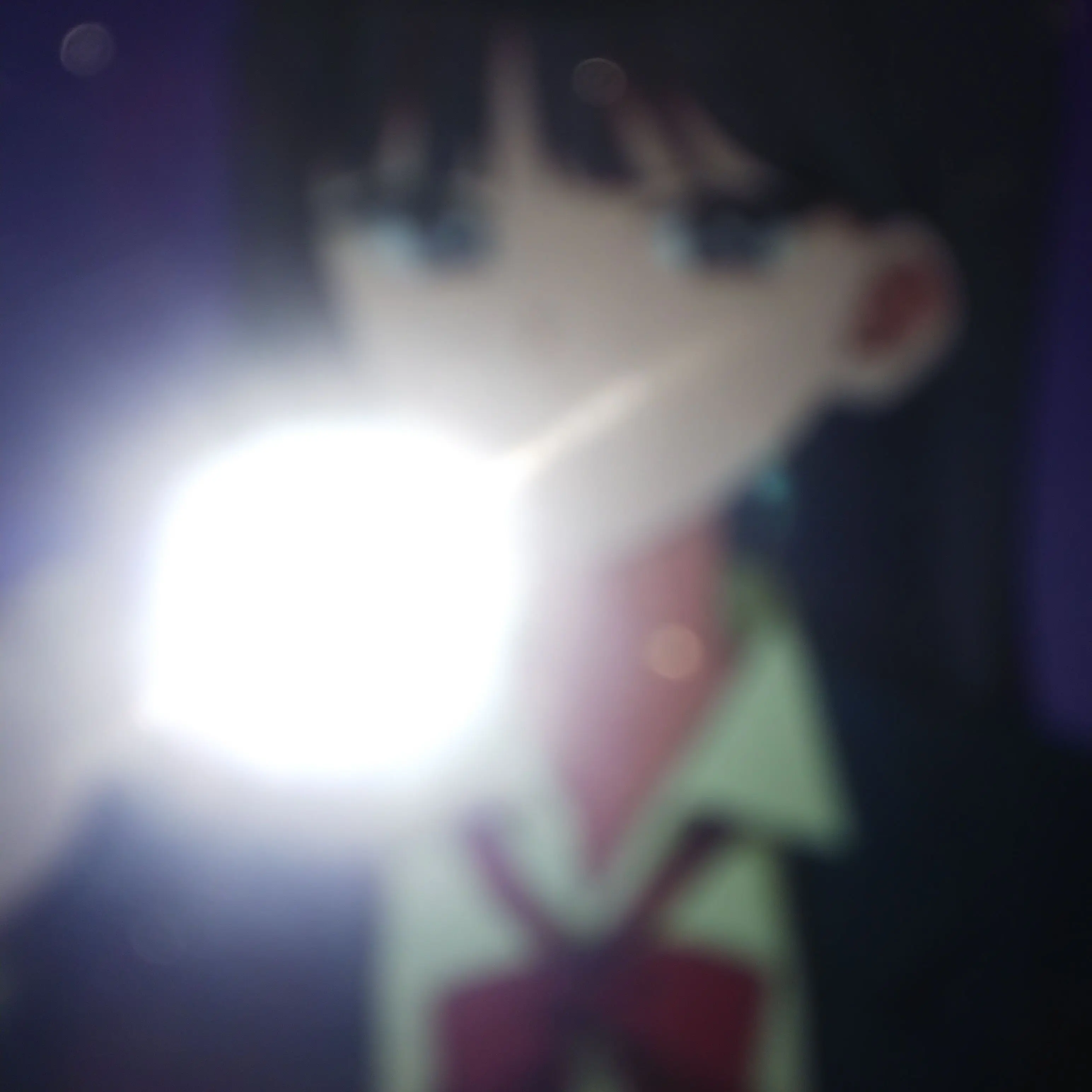 apjjdug의 私立パラの高校