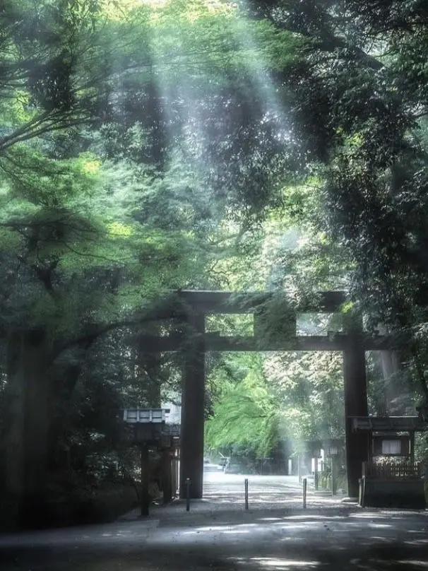 Minnnn_i3의 君は神様