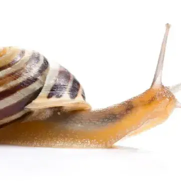 Profile image of 끝말잇기 상대