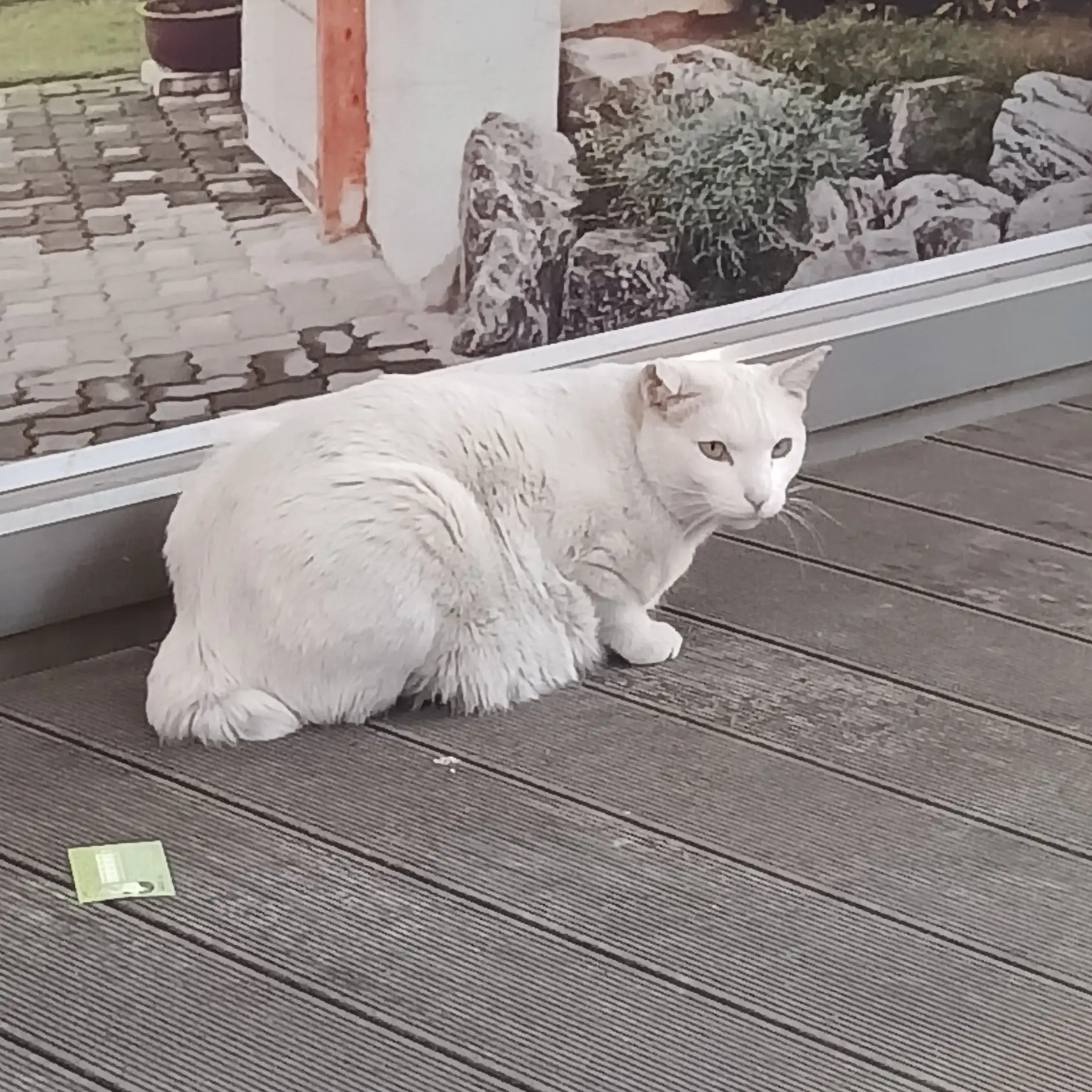 MadSong7905의 전쩜당