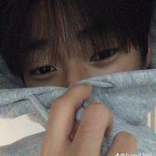 권무진