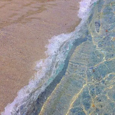 Profile image of 티푸