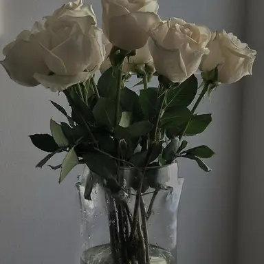 Profile image of 시미베