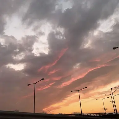 Profile image of 행크