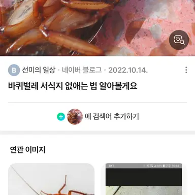 Profile image of 박퀴벌래
