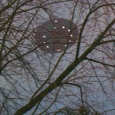 Profile image of Woodsville