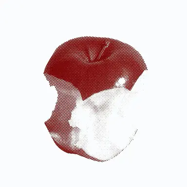 Profile image of 大森元貴