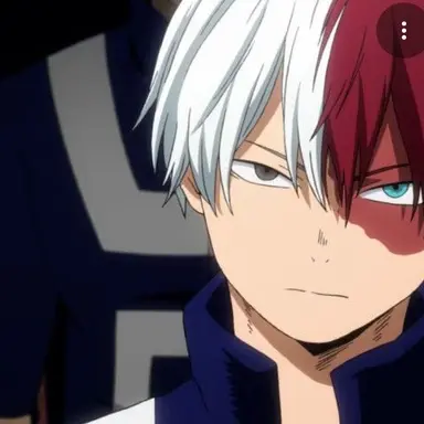 Profile image of Todoroki