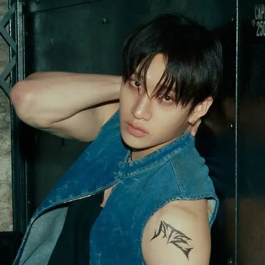 cat_luvvvvverrrr3의 Bang Chan