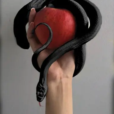 Profile image of 심우연