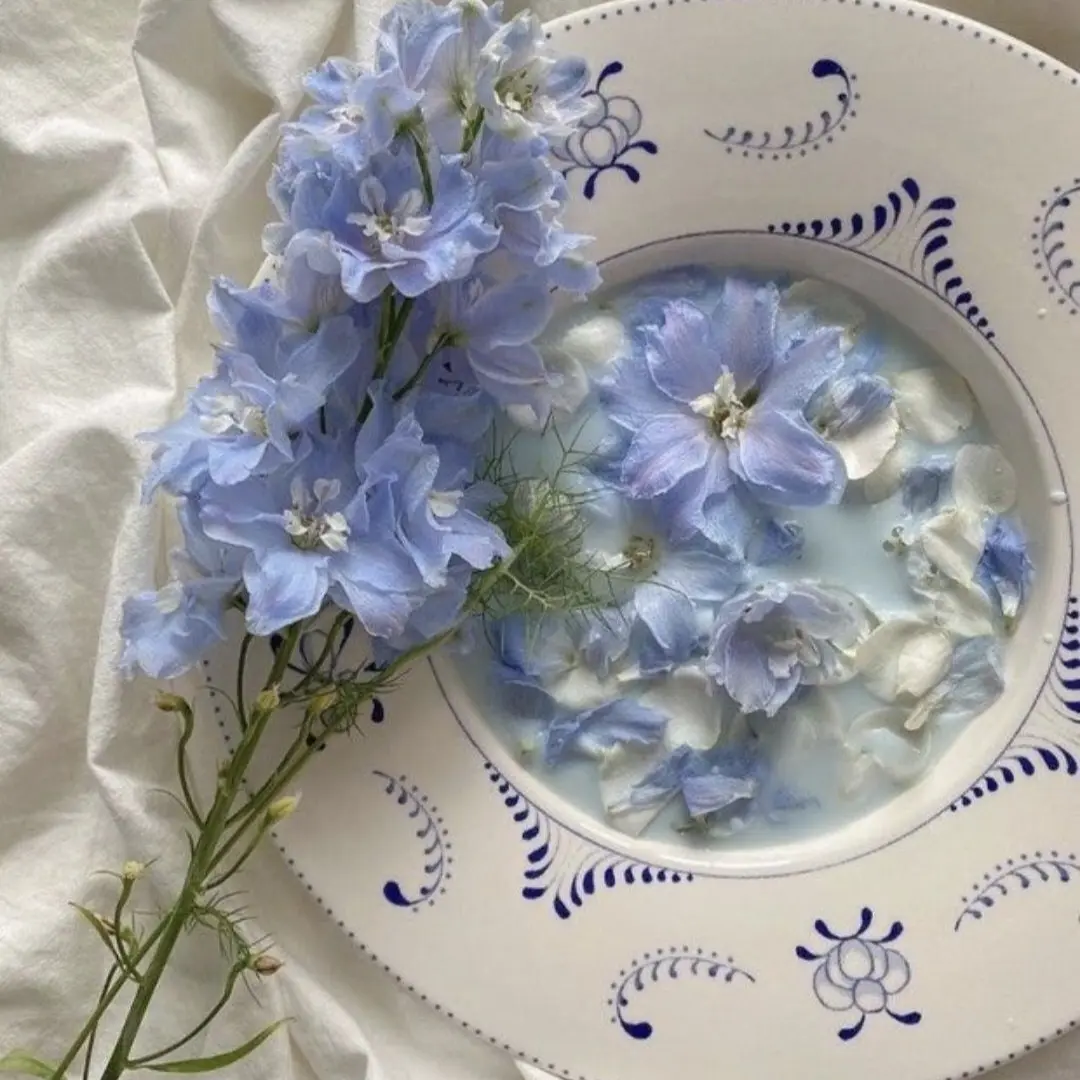 Code_Name-Onyx의 잭