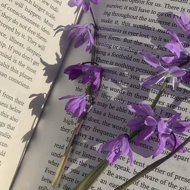 Profile image of 리온