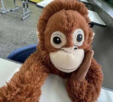 Profile image of 늑대