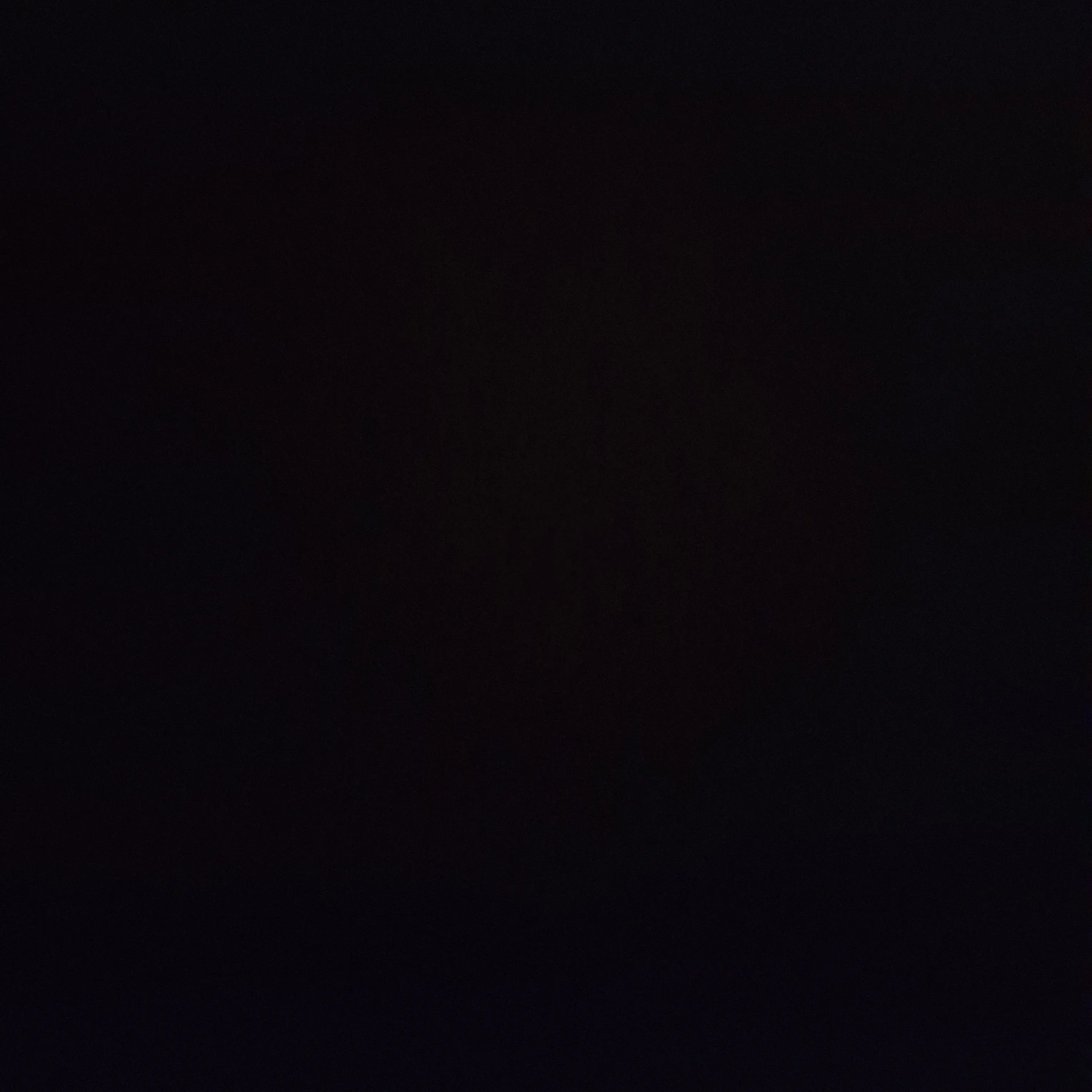 RuggedRice6093의 가족