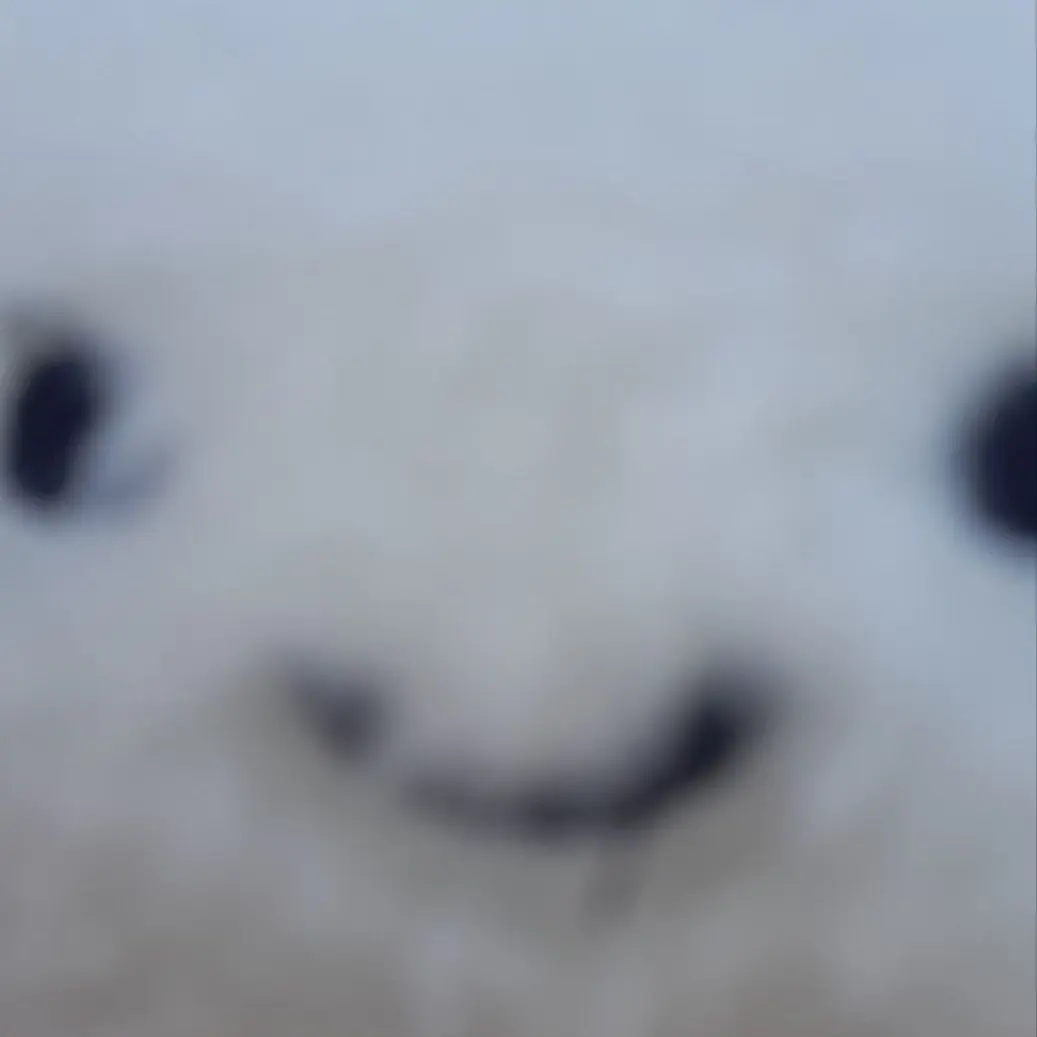 HAHAHAHAHAHHAHHAHAHA의 "이번에도 믿어 버렸어 바보 같이"