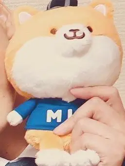 FatalPages0328의 みう学校