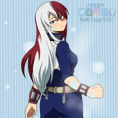 Profile image of Shoto Todoroki