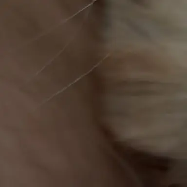 Profile image of 타잔