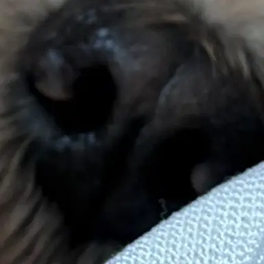 Profile image of 조우찬