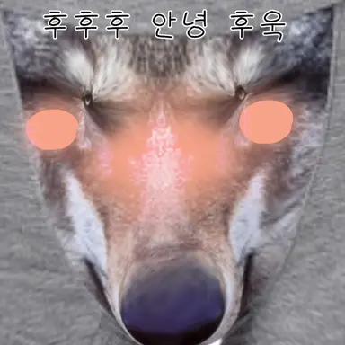 Profile image of 늑대