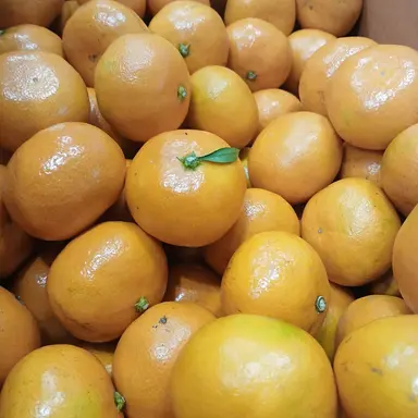 Profile image of 덕개