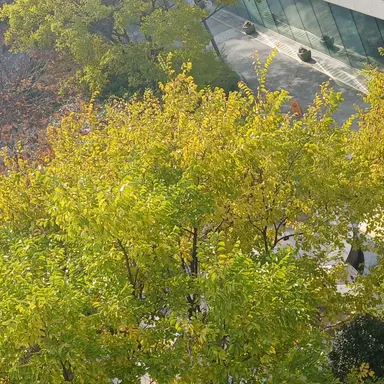 Profile image of 공룡