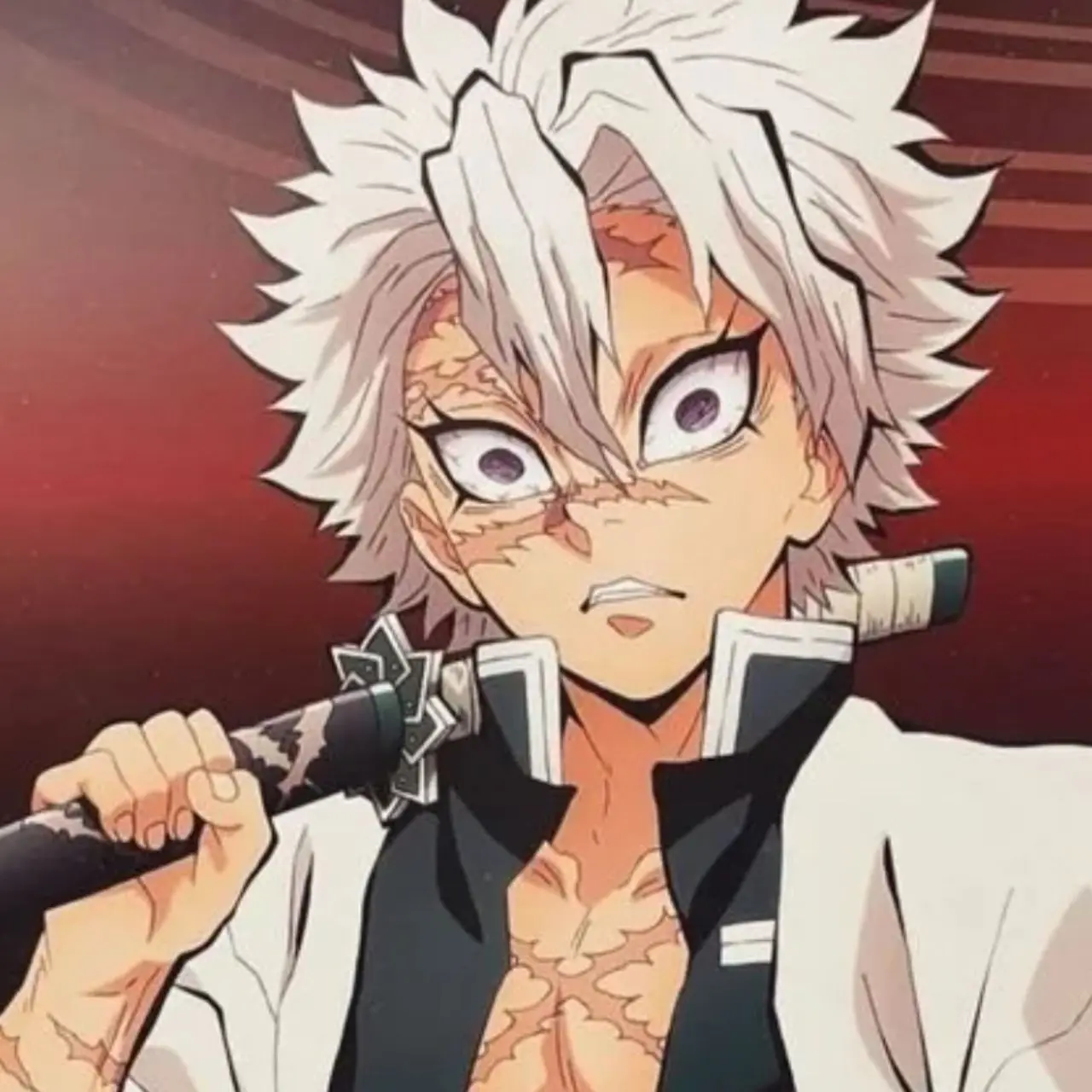 ProneLeaf3612의 시나즈가와 사네미