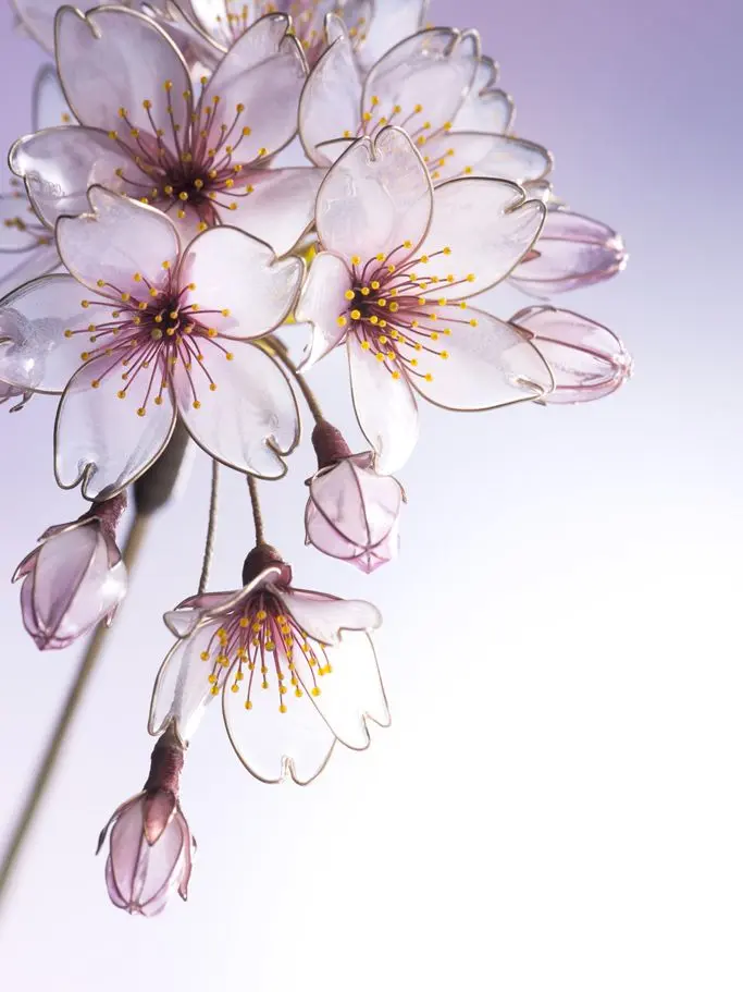 yui_1214의 4人の男性妃