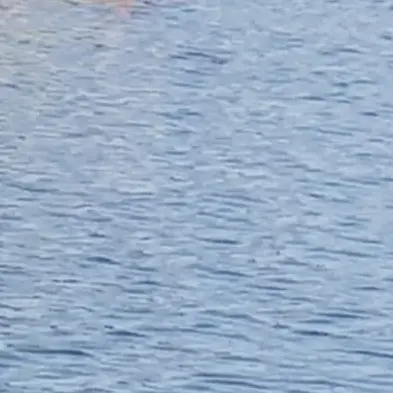 Spanje의 대저택,고프,팀나빠,꽥꽥탐험,여우늑대