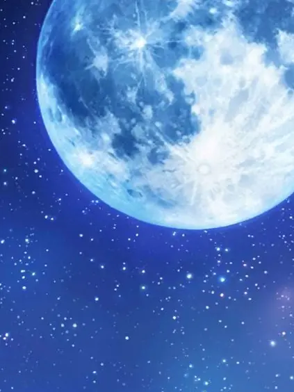 PuristSnore9259의 月みたいなあの子は ＿＿ 💫