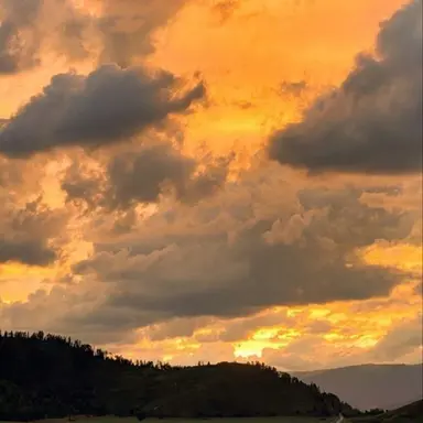 Profile image of 쪼만