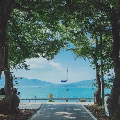 Profile image of 파이브