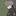 藍斗