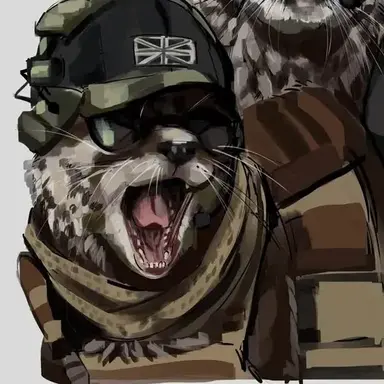 Profile image of TF141 - Trust Issues