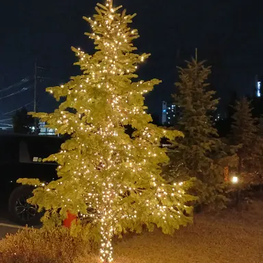 Profile image of 각별