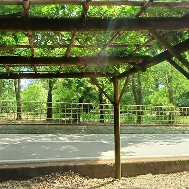 Profile image of 공룡