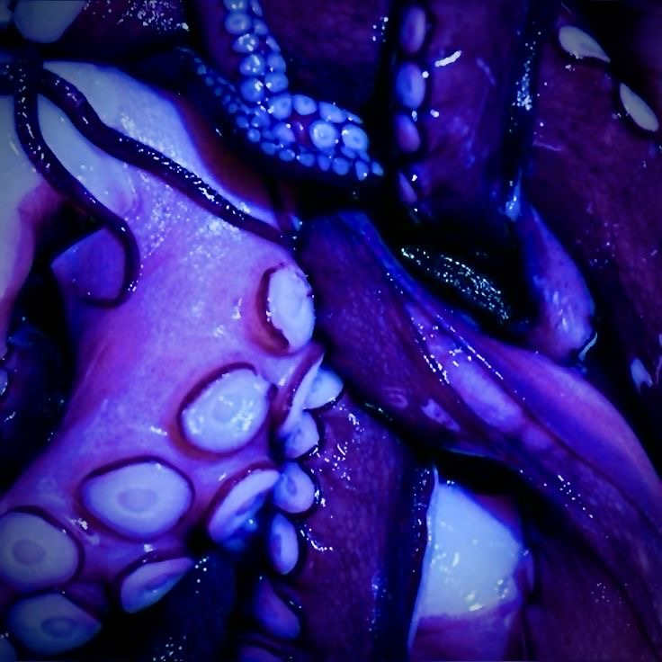 執愛 대표 이미지