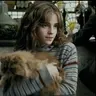 Profile image of Hermione granger