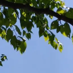 Eggron_lazy의 연이