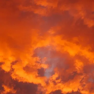 Profile image of 덕개