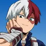 Profile image of Shoto Todoroki