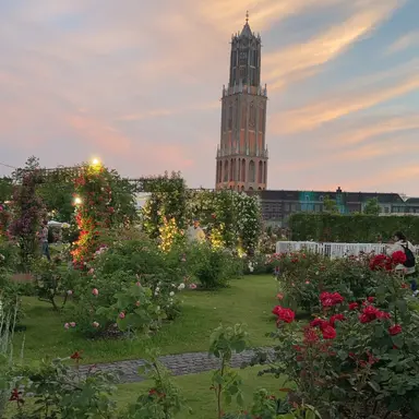 Profile image of 時透無一郎